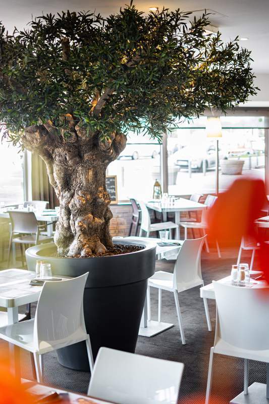 L'intérieur du restaurant Les Moulins Bleus Laxou